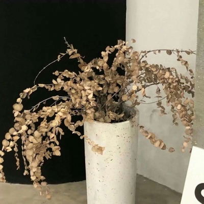 兽设森林场景设计FurryQQ群